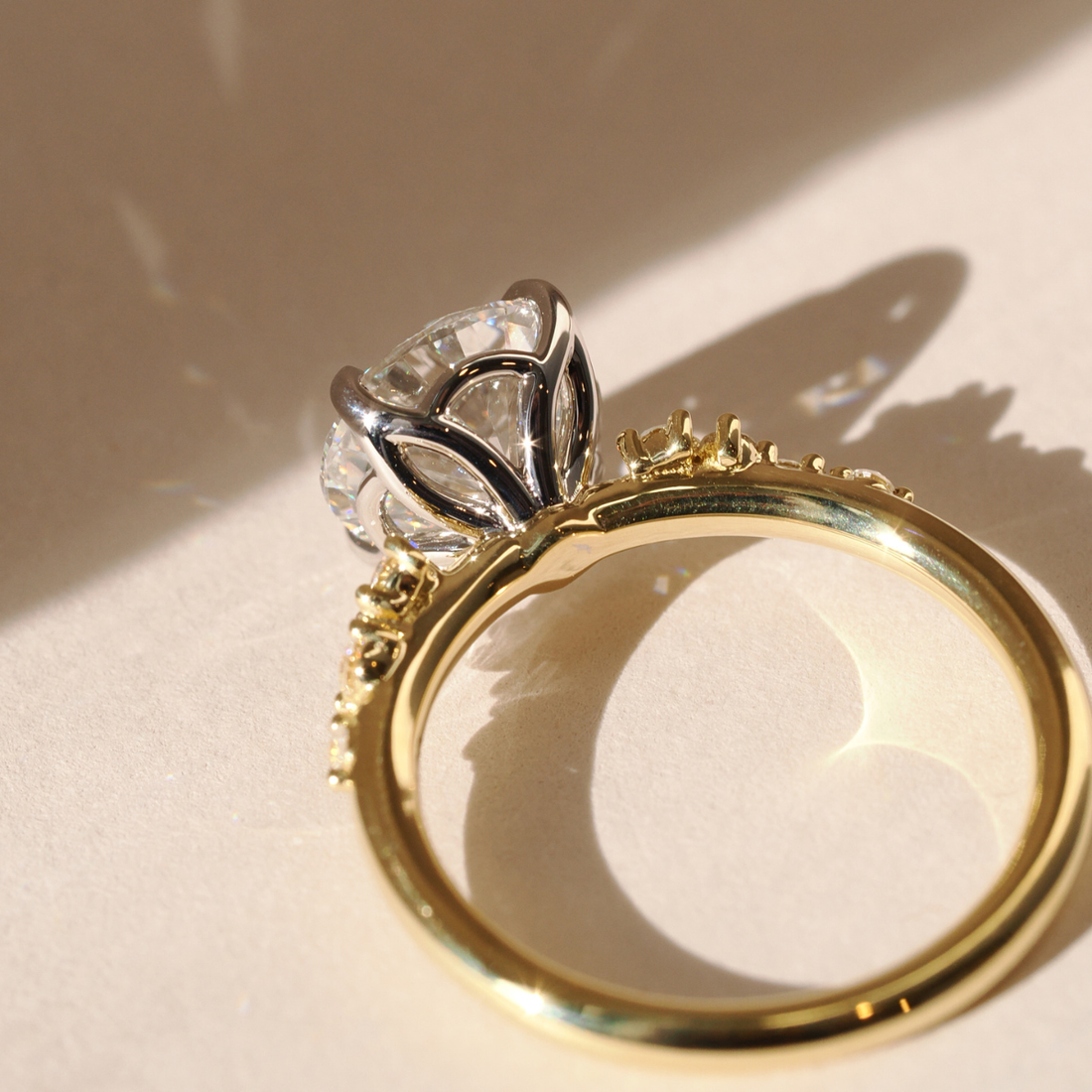 Close-up of a two-tone engagement ring featuring a round brilliant diamond in a sculptural white gold prong setting, set on a yellow gold band with small accent diamonds, photographed in warm natural light casting soft shadows.
