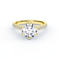 Cathedral Halo Cut